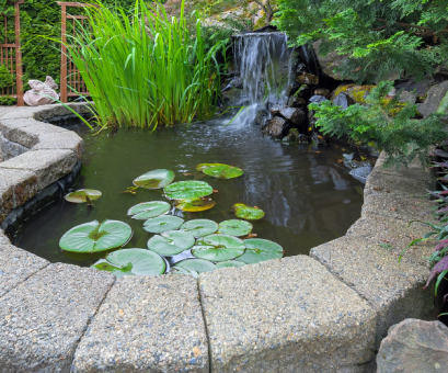 Elevated Pond